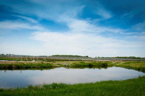 Throughout both of our facilities, we have several holding ponds that catch the run off to make sure the water is clean before returning to our main water supply.
